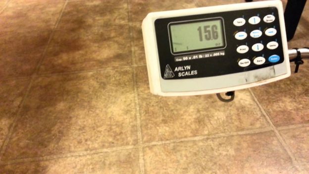 Best Industrial Cheap Scales