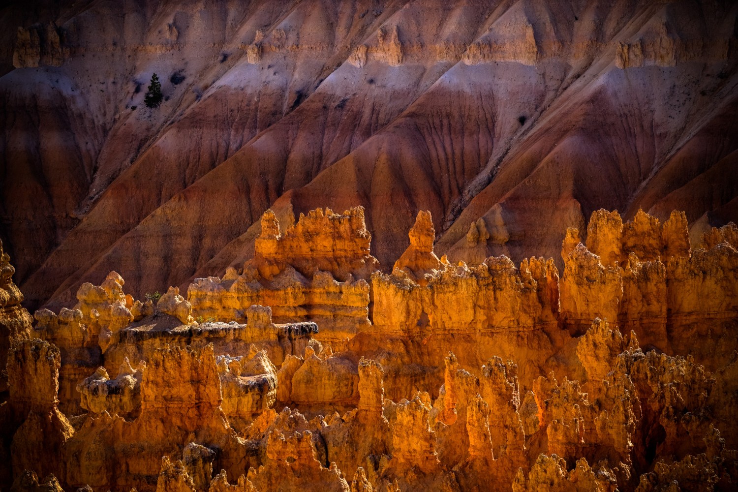 Beyond the Bullion: Sustainability Practices in Gold Mining Australia